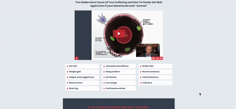 Healthy Thyroid Today landing page in VidTao ad intelligence software